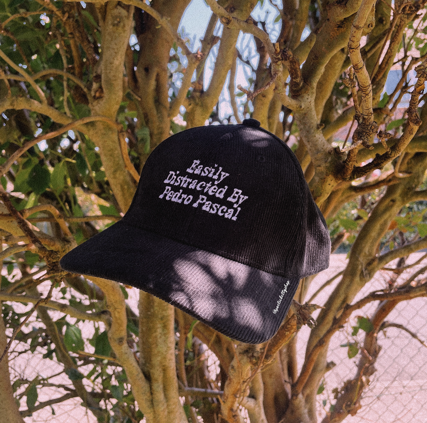 Pedro Pascal Easily Distracted Organic Corduroy Black Lilac Embroidered Cap
