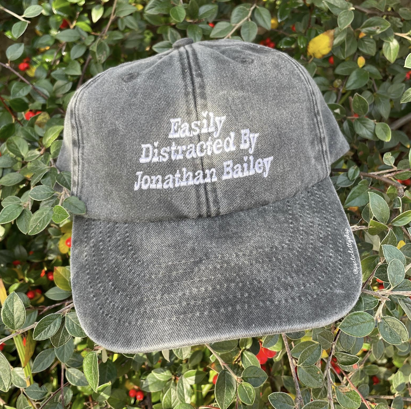 Easily Distracted By Jonathan Bailey Vintage Embroidered Cap